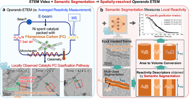 Figure 1 for MultiTaskDeltaNet: Change Detection-based Image Segmentation for Operando ETEM with Application to Carbon Gasification Kinetics