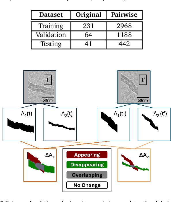 Figure 4 for MultiTaskDeltaNet: Change Detection-based Image Segmentation for Operando ETEM with Application to Carbon Gasification Kinetics