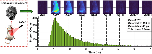 Figure 1 for Compressing Recurrent Neural Networks for FPGA-accelerated Implementation in Fluorescence Lifetime Imaging