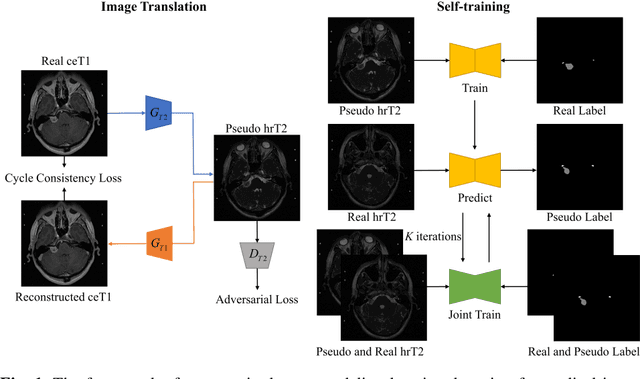 Figure 1 for Image Translation-Based Unsupervised Cross-Modality Domain Adaptation for Medical Image Segmentation