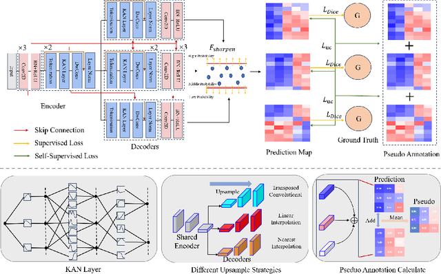 Figure 3 for Semi-KAN: KAN Provides an Effective Representation for Semi-Supervised Learning in Medical Image Segmentation