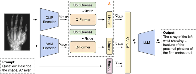 Figure 3 for Sam-Guided Enhanced Fine-Grained Encoding with Mixed Semantic Learning for Medical Image Captioning