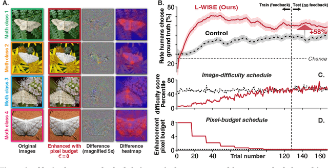 Figure 4 for L-WISE: Boosting Human Image Category Learning Through Model-Based Image Selection And Enhancement