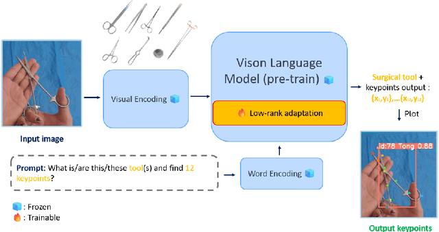 Figure 1 for Estimating 2D Keypoints of Surgical Tools Using Vision-Language Models with Low-Rank Adaptation