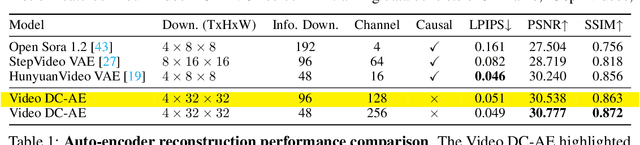 Figure 2 for Open-Sora 2.0: Training a Commercial-Level Video Generation Model in $200k