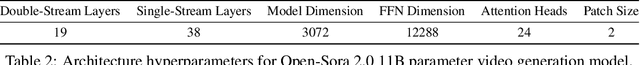 Figure 4 for Open-Sora 2.0: Training a Commercial-Level Video Generation Model in $200k
