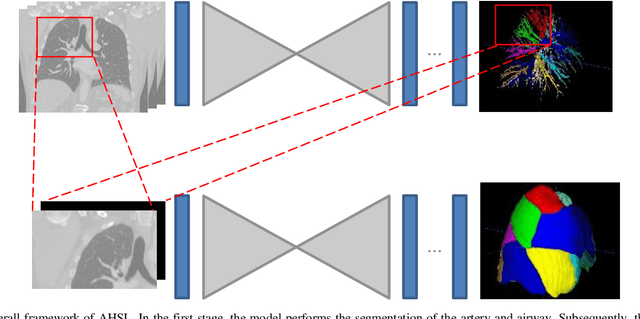 Figure 3 for Bronchovascular Tree-Guided Weakly Supervised Learning Method for Pulmonary Segment Segmentation