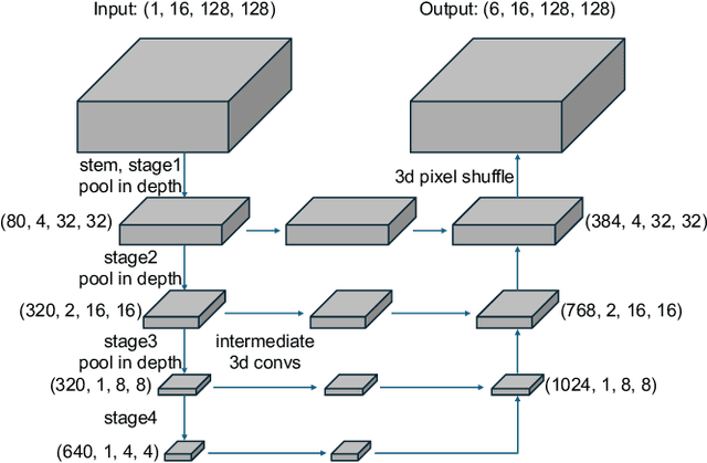 Figure 1 for 2.5D U-Net with Depth Reduction for 3D CryoET Object Identification