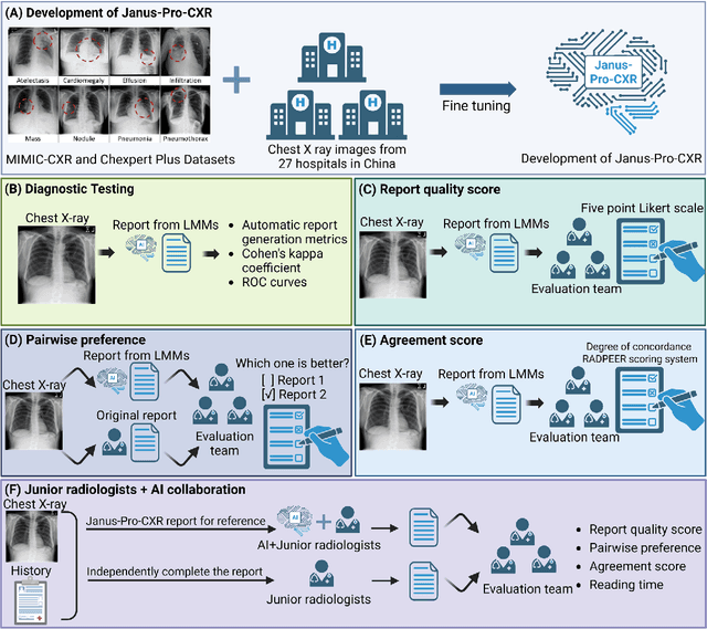 Figure 2 for A DeepSeek-Powered AI System for Automated Chest Radiograph Interpretation in Clinical Practice
