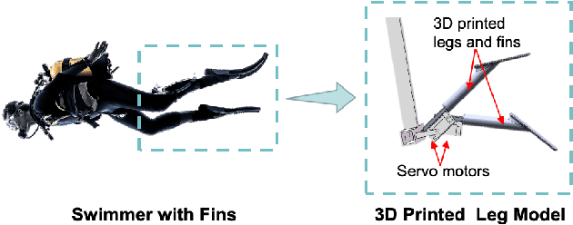 Figure 1 for Bioinspired Sensing of Undulatory Flow Fields Generated by Leg Kicks in Swimming