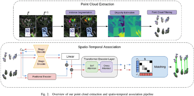 Figure 2 for Transformer-Based Spatio-Temporal Association of Apple Fruitlets