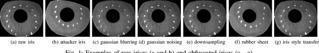 Figure 1 for Trade-offs in Privacy-Preserving Eye Tracking through Iris Obfuscation: A Benchmarking Study