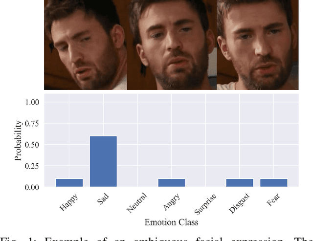 Figure 1 for Enhancing Ambiguous Dynamic Facial Expression Recognition with Soft Label-based Data Augmentation
