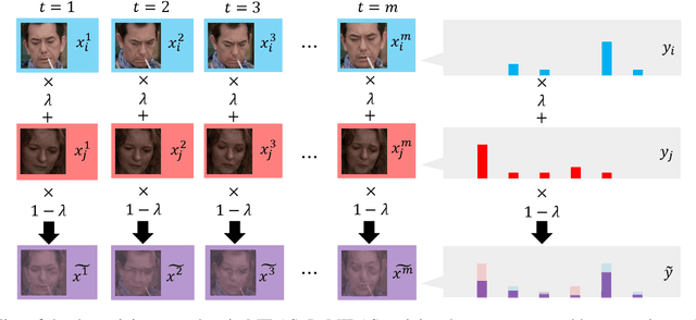 Figure 2 for Enhancing Ambiguous Dynamic Facial Expression Recognition with Soft Label-based Data Augmentation