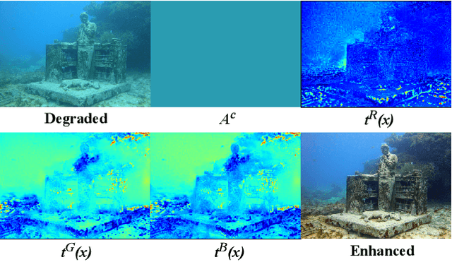Figure 1 for Physics-Aware Semi-Supervised Underwater Image Enhancement