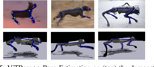 Figure 3 for SDS -- See it, Do it, Sorted: Quadruped Skill Synthesis from Single Video Demonstration