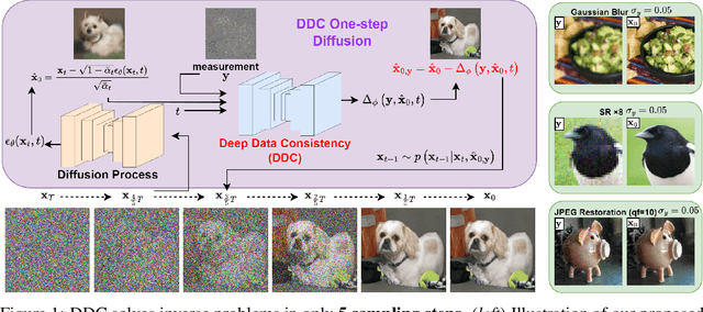 Figure 1 for Deep Data Consistency: a Fast and Robust Diffusion Model-based Solver for Inverse Problems
