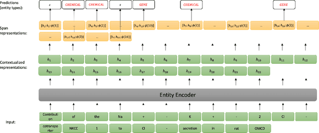 Figure 1 for End-to-End Models for Chemical-Protein Interaction Extraction: Better Tokenization and Span-Based Pipeline Strategies