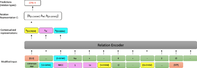 Figure 2 for End-to-End Models for Chemical-Protein Interaction Extraction: Better Tokenization and Span-Based Pipeline Strategies