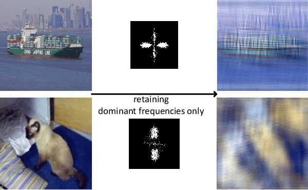 Figure 1 for What do neural networks learn in image classification? A frequency shortcut perspective