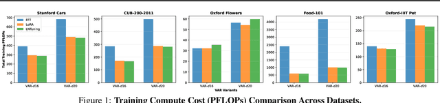 Figure 1 for Implementing Adaptations for Vision AutoRegressive Model