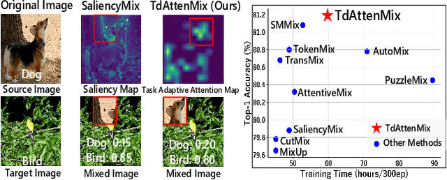 Figure 1 for TdAttenMix: Top-Down Attention Guided Mixup