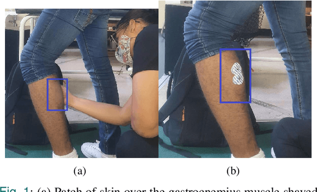 Figure 1 for Towards Non-contact Muscle Activity Estimation using FMCW Radar