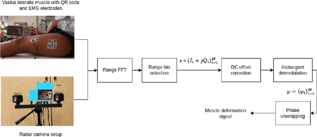 Figure 3 for Towards Non-contact Muscle Activity Estimation using FMCW Radar