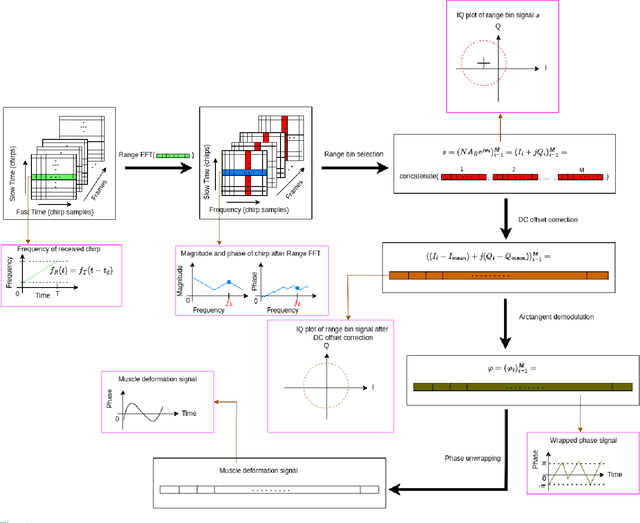 Figure 4 for Towards Non-contact Muscle Activity Estimation using FMCW Radar