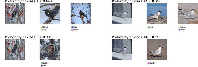 Figure 1 for Keypoint Counting Classifiers: Turning Vision Transformers into Self-Explainable Models Without Training