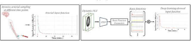Figure 1 for Deep learning-derived arterial input function