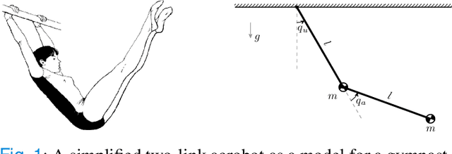Figure 1 for From gymnastics to virtual nonholonomic constraints: energy injection, dissipation, and regulation for the acrobot