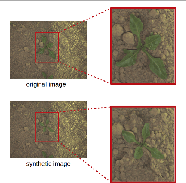 Figure 1 for Shape and Style GAN-based Multispectral Data Augmentation for Crop/Weed Segmentation in Precision Farming