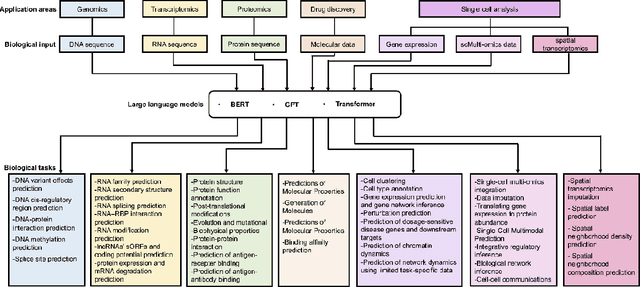 Figure 1 for Large language models in bioinformatics: applications and perspectives