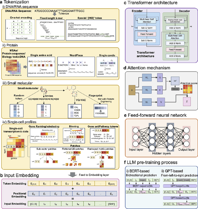 Figure 3 for Large language models in bioinformatics: applications and perspectives