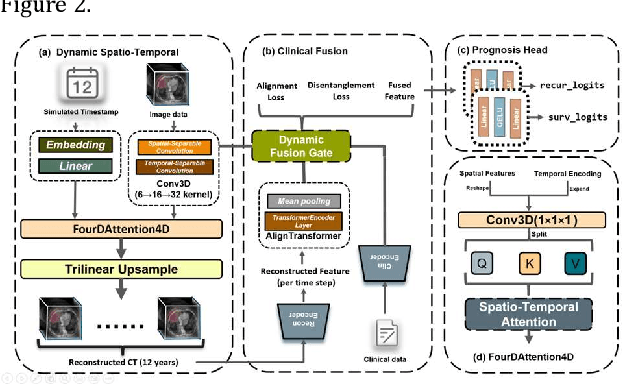 Figure 3 for 4D-ACFNet: A 4D Attention Mechanism-Based Prognostic Framework for Colorectal Cancer Liver Metastasis Integrating Multimodal Spatiotemporal Features