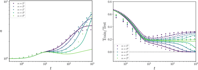 Figure 4 for Dynamical Decoupling of Generalization and Overfitting in Large Two-Layer Networks
