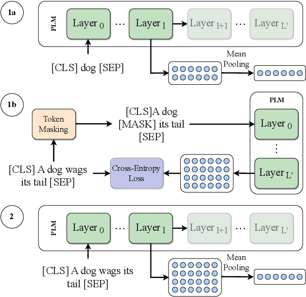 Figure 1 for Are ELECTRA's Sentence Embeddings Beyond Repair? The Case of Semantic Textual Similarity