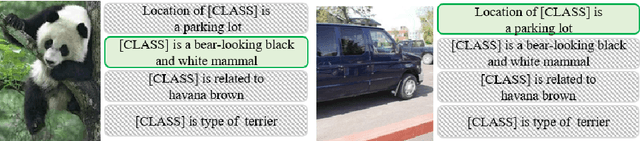 Figure 3 for RPLKG: Robust Prompt Learning with Knowledge Graph