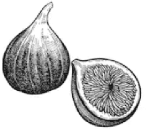 Figure 1 for UrbanCraft: Urban View Extrapolation via Hierarchical Sem-Geometric Priors