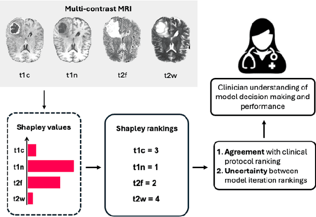 Figure 1 for Clinical Interpretability of Deep Learning Segmentation Through Shapley-Derived Agreement and Uncertainty Metrics