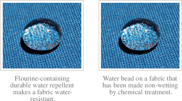 Figure 1 for Paraphrase Acquisition from Image Captions