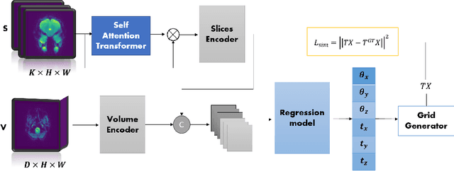 Figure 1 for A self-attention model for robust rigid slice-to-volume registration of functional MRI