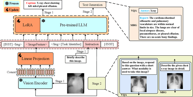 Figure 1 for PeFoMed: Parameter Efficient Fine-tuning on Multimodal Large Language Models for Medical Visual Question Answering