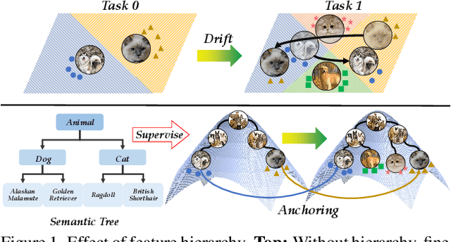 Figure 1 for Hierarchical Semantic Tree Anchoring for CLIP-Based Class-Incremental Learning
