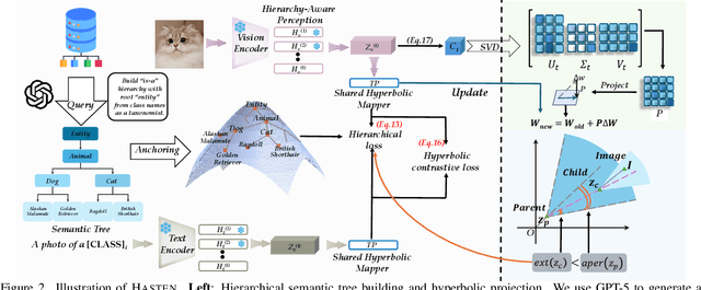 Figure 3 for Hierarchical Semantic Tree Anchoring for CLIP-Based Class-Incremental Learning