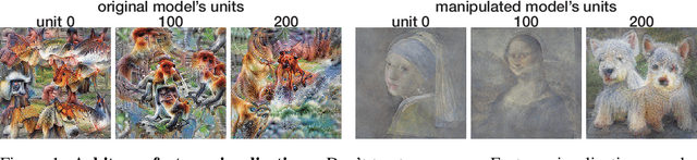 Figure 1 for Don't trust your eyes: on the reliability of feature visualizations