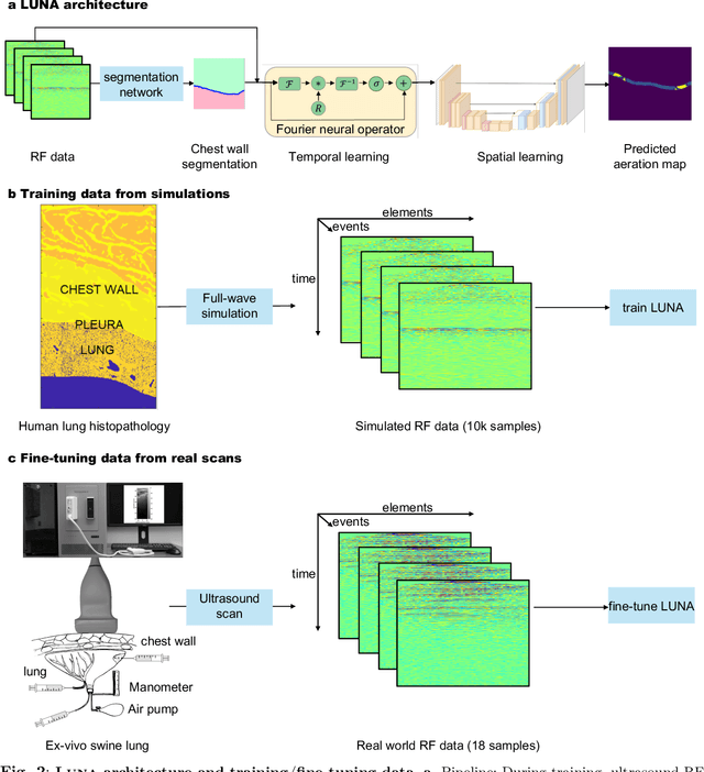 Figure 3 for Ultrasound Lung Aeration Map via Physics-Aware Neural Operators