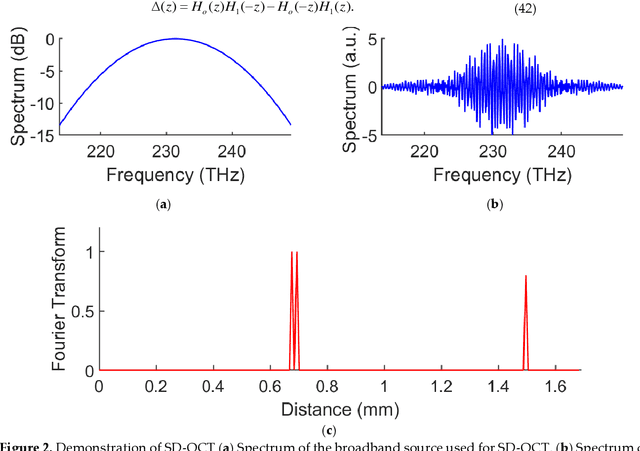 Figure 2 for Multirate Spectral Domain Optical Coherence Tomography