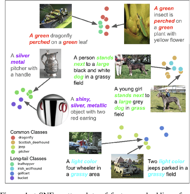 Figure 1 for VLM-KD: Knowledge Distillation from VLM for Long-Tail Visual Recognition